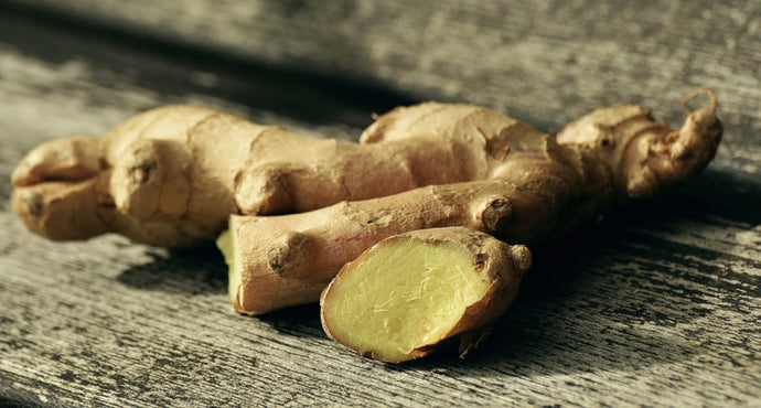 Ginger Organic Essential Oil
