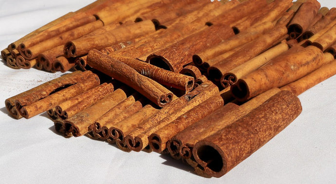 Cinnamon Bark Organic Essential Oil